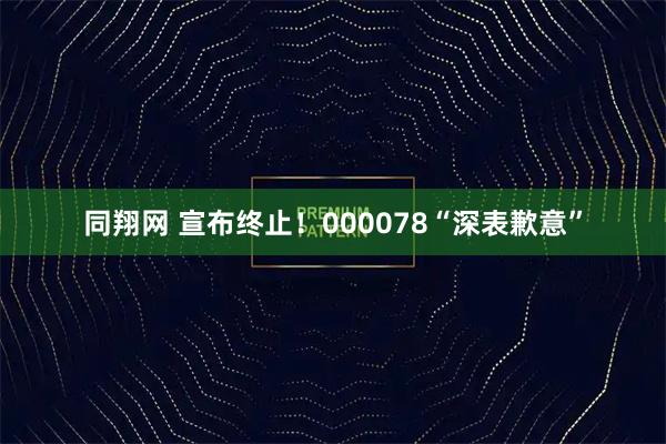 同翔网 宣布终止！000078“深表歉意”
