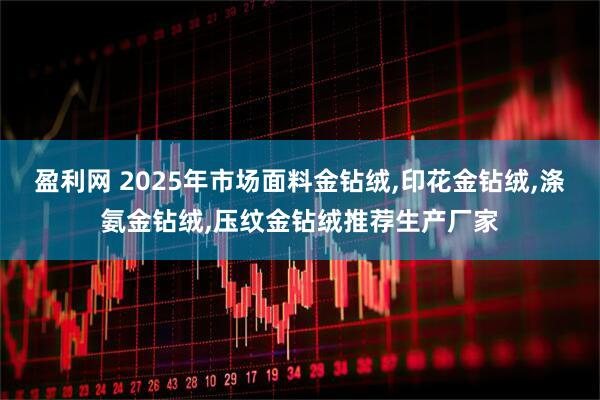 盈利网 2025年市场面料金钻绒,印花金钻绒,涤氨金钻绒,压纹金钻绒推荐生产厂家