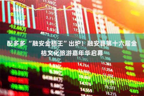 配多多 “融安金桔王”出炉！融安县第十六届金桔文化旅游嘉年华启幕