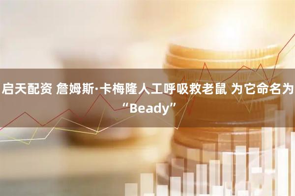 启天配资 詹姆斯·卡梅隆人工呼吸救老鼠 为它命名为“Beady”